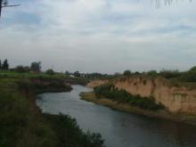 Segunda Caminata por el arroyo Saladillo